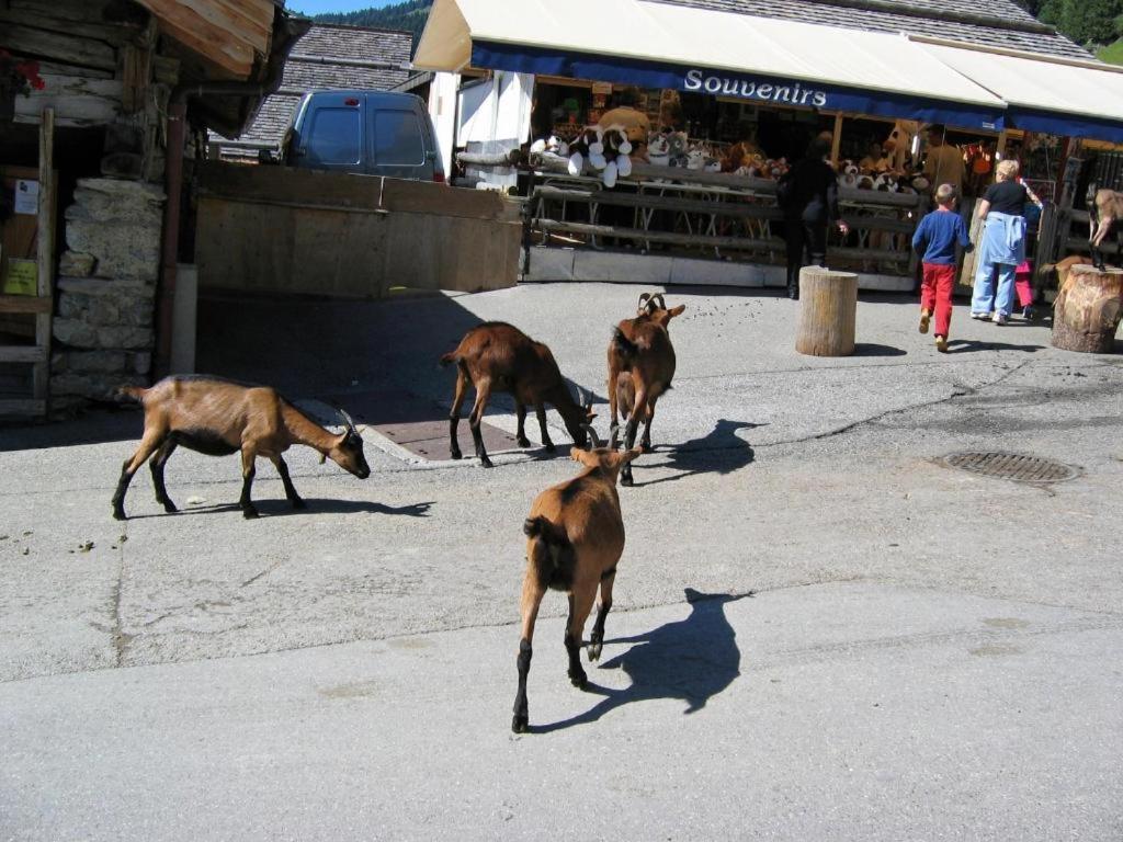 Entre Alpes Et Leman Bed and Breakfast Publier Εξωτερικό φωτογραφία